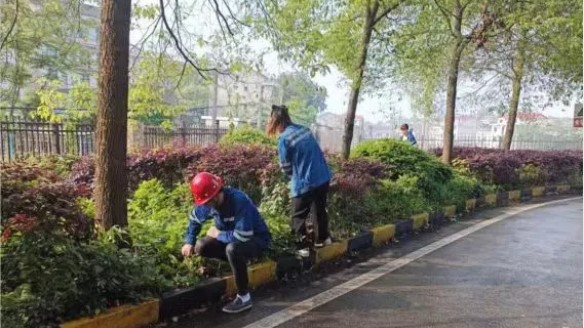 匯源煤氣員工勞動節(jié)除草忙 匯源煤氣員工勞動節(jié)除草忙