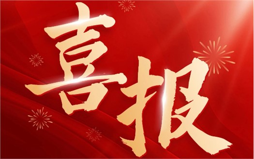 集團榮膺2025中國民營企業(yè)500強第249位，制造業(yè)民營企業(yè)500強第177位，排名較去年雙雙大幅提升