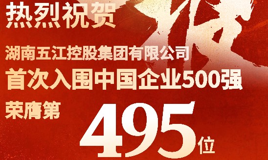 喜報！集團首次躋身中國企業(yè)500強